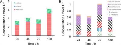 “Reverse combustion” of carbon dioxide in water: The influence of reaction conditions